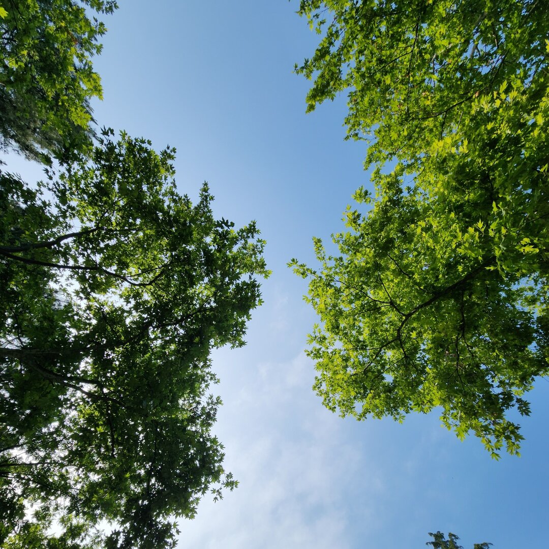 Respiración completa