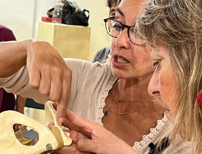 Terapeuta explicando anatomía con esqueleto durante formación corporal en sala